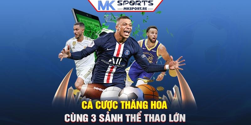 Cá cược thăng hoa cùng 3 sảnh thể thao lớn