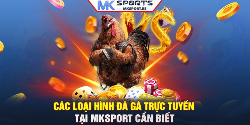 Các loại hình Đá gà trực tuyến tại MKSport cần biết