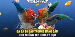 Đá gà 88 - Đấu trường hàng đầu cho những tay chơi kỳ cựu