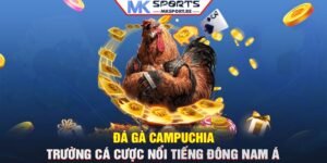 Đá gà Campuchia: Trường cá cược nổi tiếng Đông Nam Á