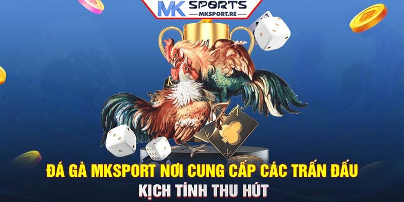 Đá gà MKSport: Nơi cung cấp các trấn đấu kịch tính, thu hút