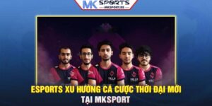 Esports: Xu hướng cá cược thời đại mới tại MKSport