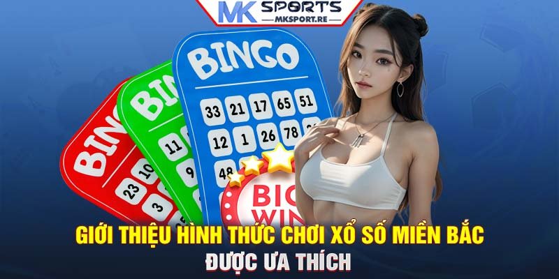 Giới thiệu hình thức chơi xổ số miền Bắc được ưa thích