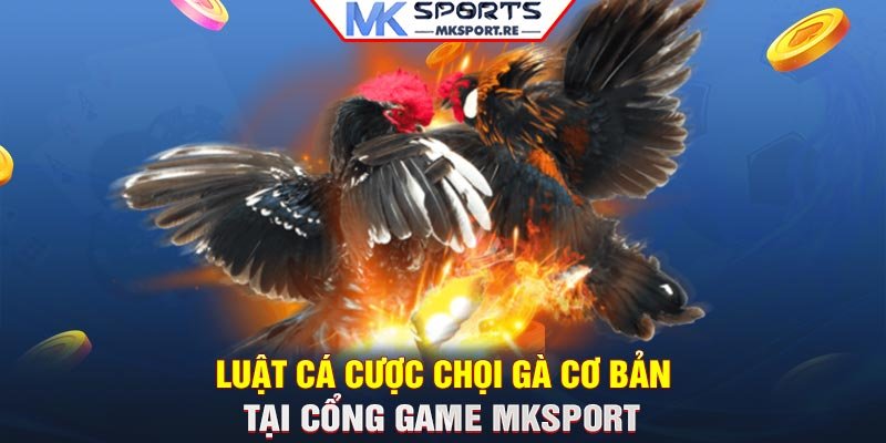 Luật cá cược chọi gà cơ bản tại cổng game MKSport