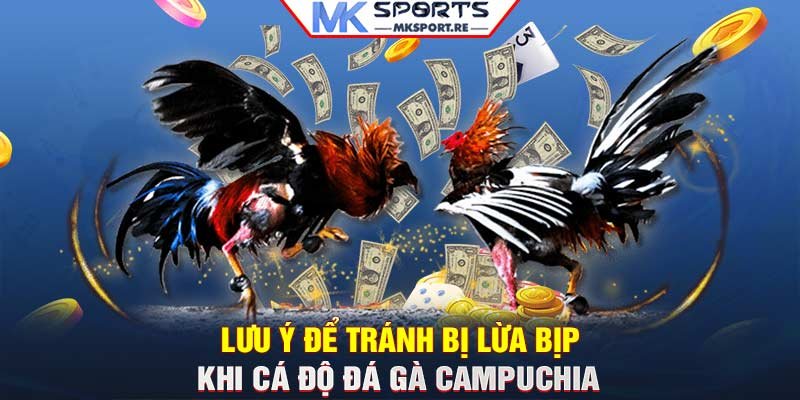 Lưu ý để tránh bị lừa bịp khi cá độ đá gà Campuchia