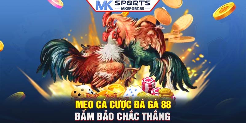 Mẹo cá cược đá gà 88 đảm bảo chắc thắng