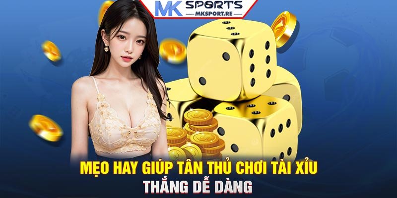 Mẹo hay giúp tân thủ chơi Tài Xỉu thắng dễ dàng