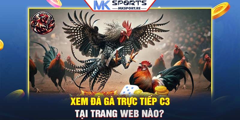 Lựa chọn MKsport để xem đá gà trực tiếp C3